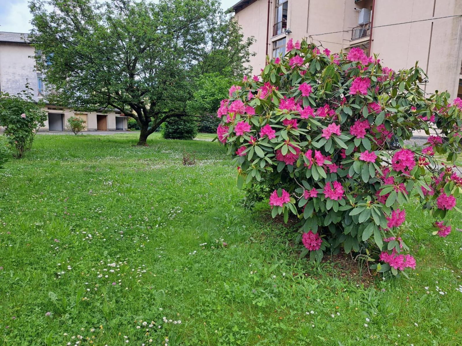 Seraval Valsesia Apartment Serravalle Sesia Экстерьер фото