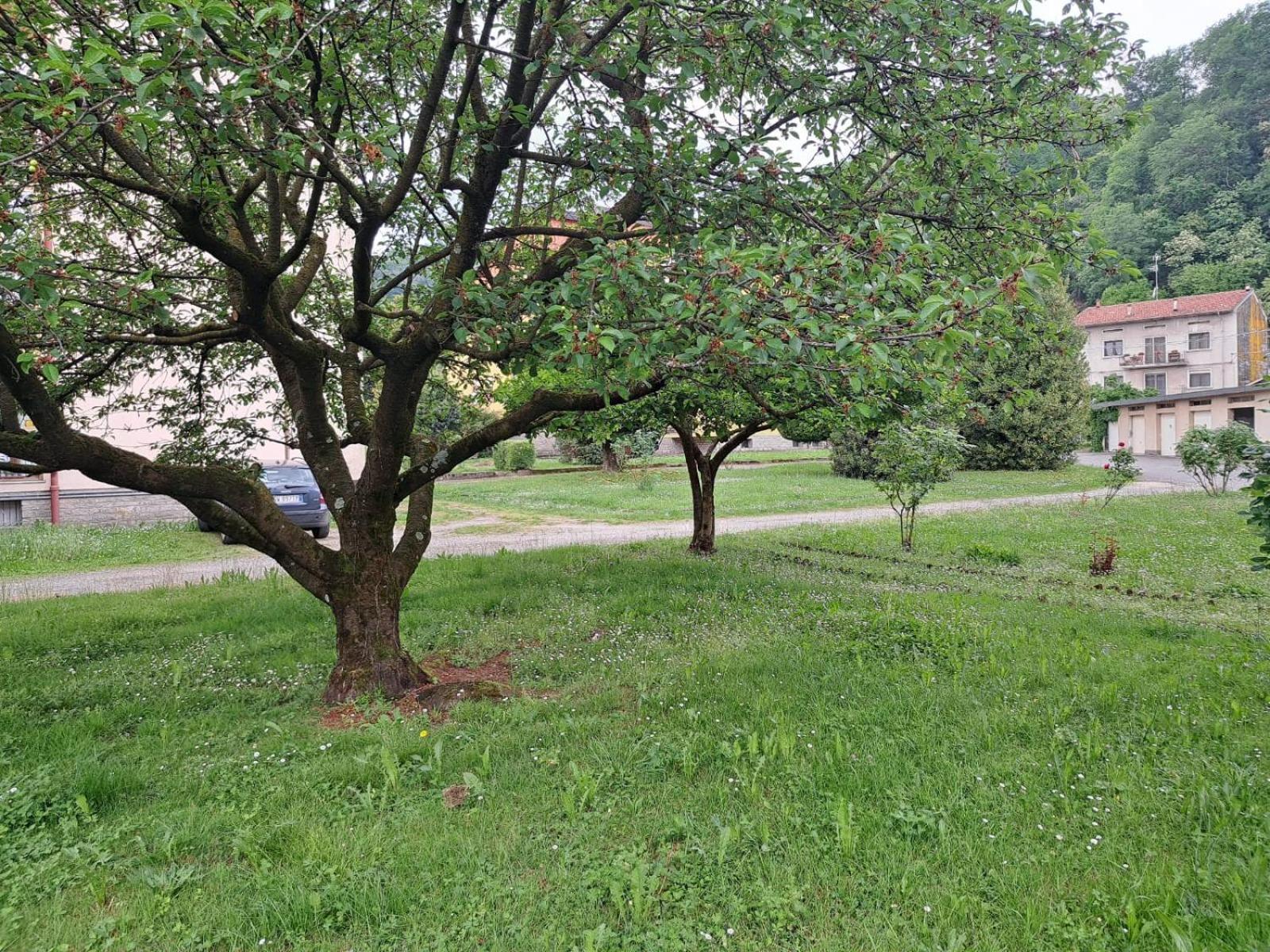 Seraval Valsesia Apartment Serravalle Sesia Экстерьер фото