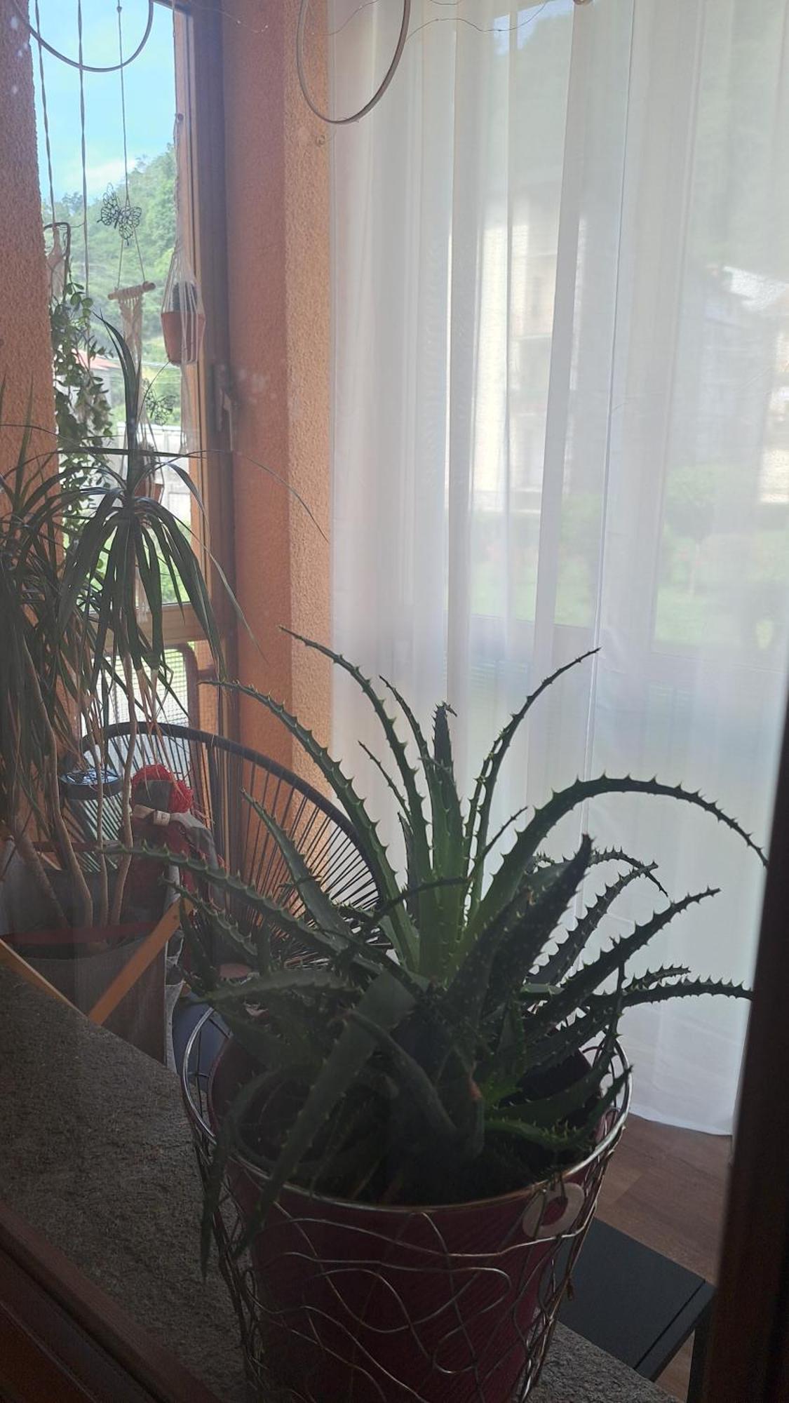 Seraval Valsesia Apartment Serravalle Sesia Экстерьер фото